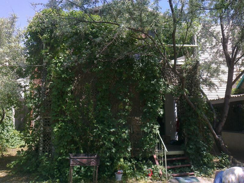 ст. Голубицкая дачи в России с фото, дача на Юге России купить