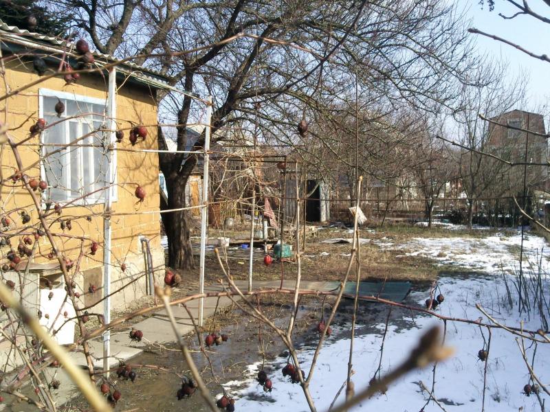 Краснодар дачи в России с фото, дача на Юге России купить