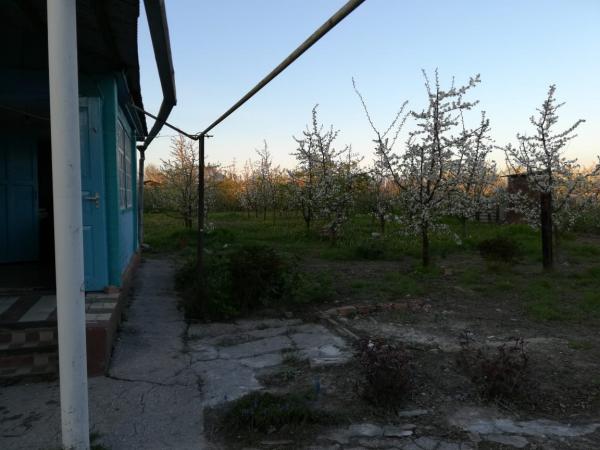 Славянск-на-кубани дачи в России с фото, дача на Юге России купить