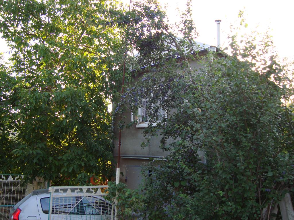 п. Широкая Балка