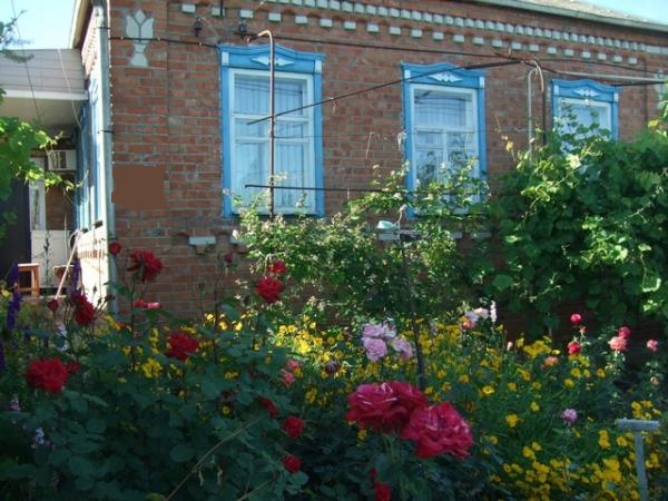 ст. Брюховецкая дома Краснодарский край