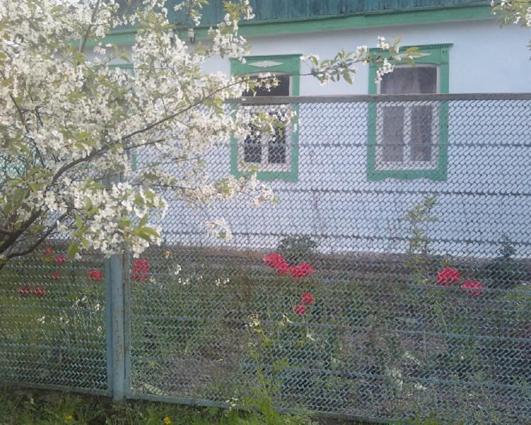 п. Ахтырский дома Краснодарский край