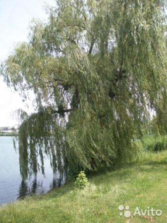 Горячий Ключ дома Краснодарский край