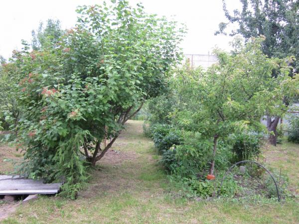 Вязьма дома Краснодарский край