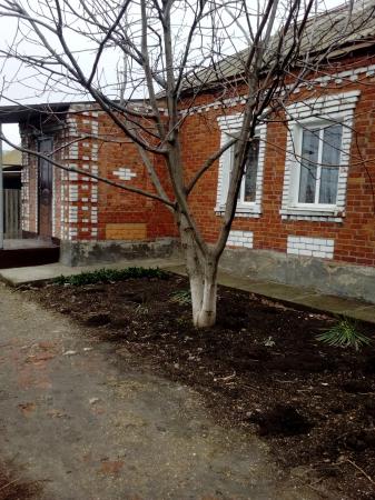 ст. Старощербиновская дома Краснодарский край