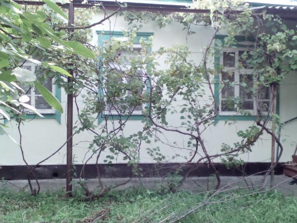 Апшеронск дома Краснодарский край