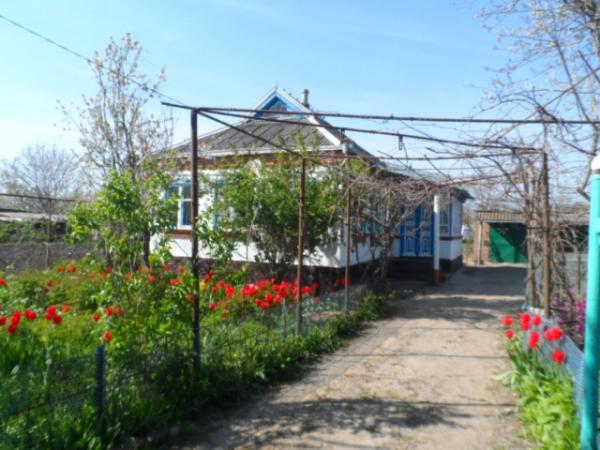 ст. Старонижестеблиевская дома Краснодарский край