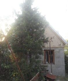 Новороссийск Снять дом в Новороссийске на длительный срок
