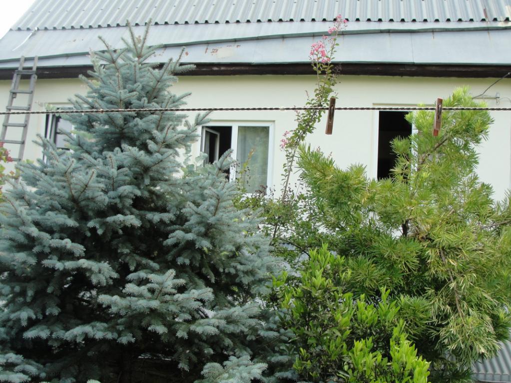 Сочи дома Краснодарский край