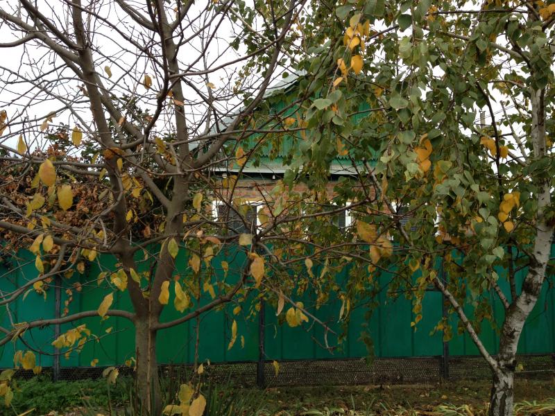 ст. Ленинградская дома Краснодарский край