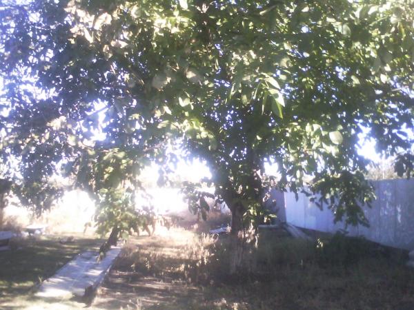 Ейск дома Краснодарский край