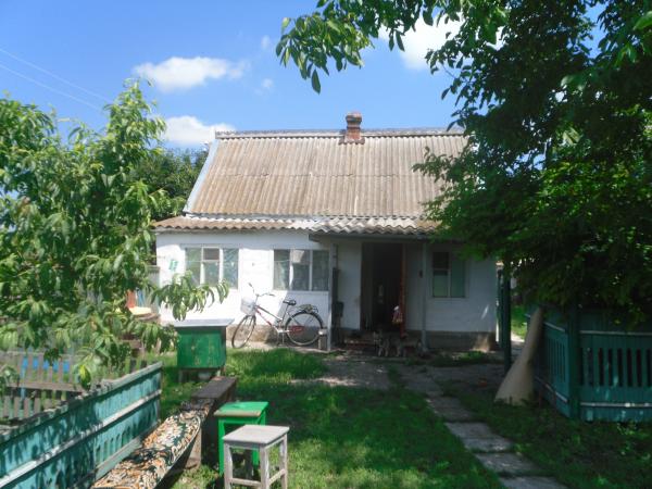 ст. Ольгинская дома Краснодарский край