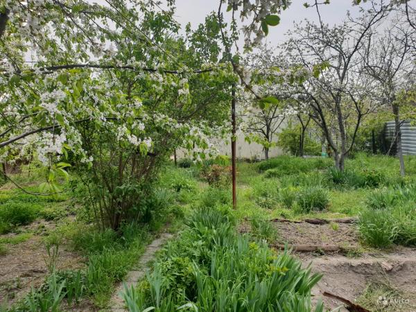 Новороссийск дома Краснодарский край