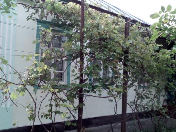 Апшеронск дома Краснодарский край