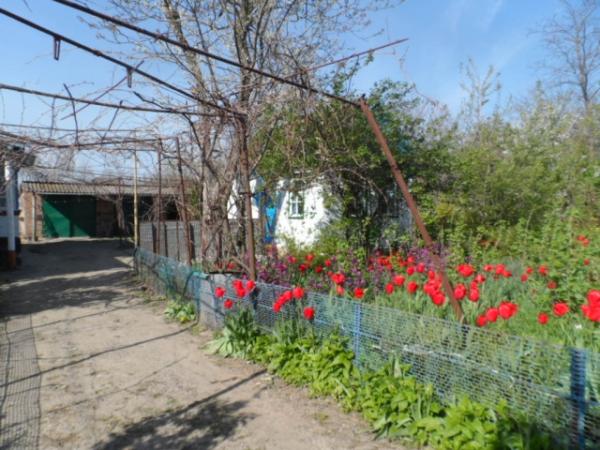ст. Старонижестеблиевская дома Краснодарский край