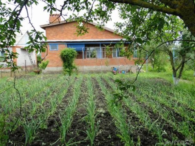 ст. Рязанская дома Краснодарский край