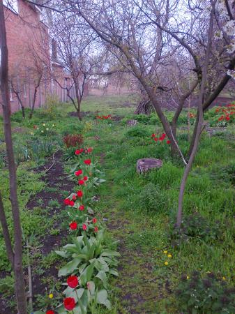 Кореновск дома Краснодарский край