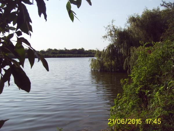 ст. Нововеличковская дома Краснодарский край