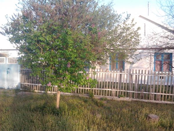 Крым дома Краснодарский край