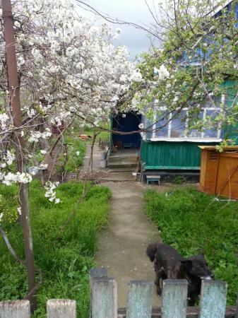 Джубга дома Краснодарский край