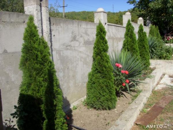 Геленджик дома Краснодарский край