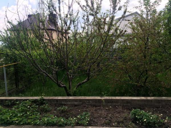 Новороссийск дома Краснодарский край