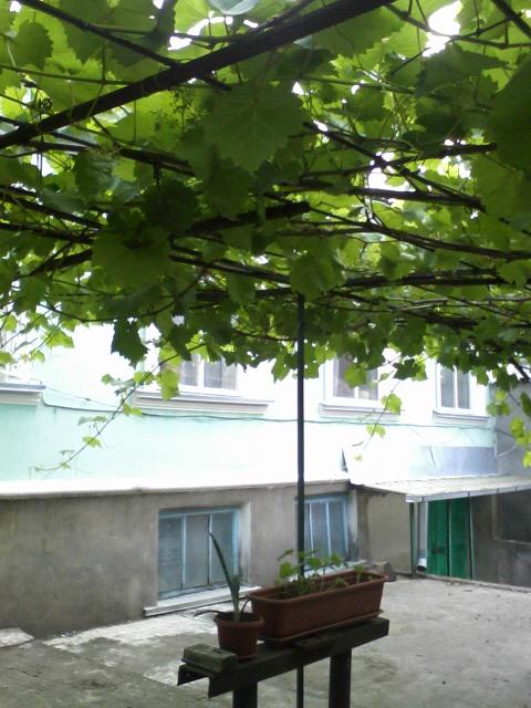Анапа дома Краснодарский край