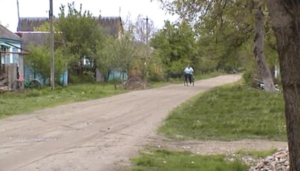 ст. Родниковская дома Краснодарский край