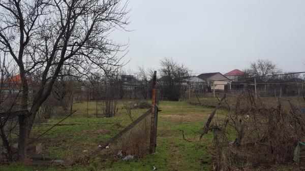 ст. Холмская дома Краснодарский край