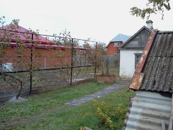ст. Новоджерелиевская дома Краснодарский край