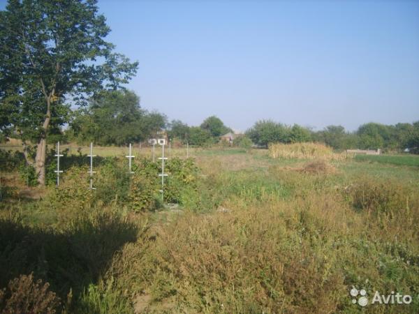 ст. Воронежская дома Краснодарский край