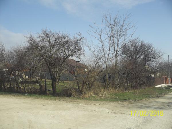 ст. Раевская дома Краснодарский край