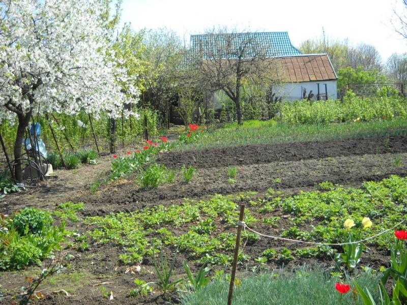 ст. Старомышастовская дома Краснодарский край