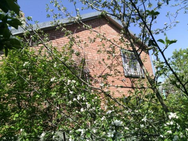ст. Брюховецкая дома Краснодарский край
