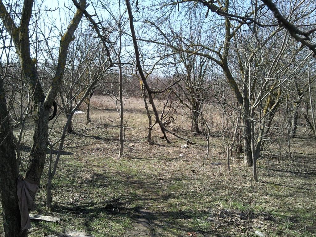 ст. Раевская дома Краснодарский край