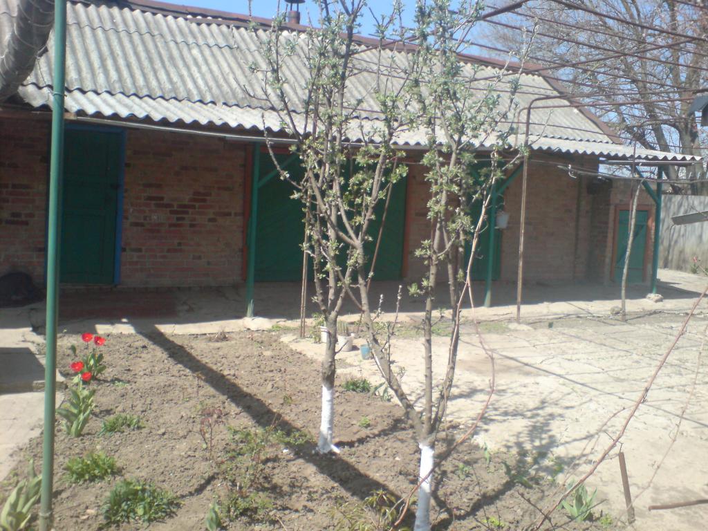 с. Новопавловка дома Краснодарский край