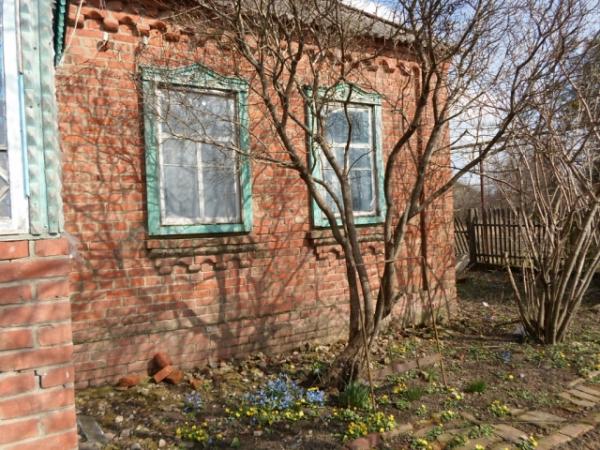 ст. Ивановская дома Краснодарский край