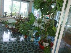 Усть-Лабинск дома Краснодарский край