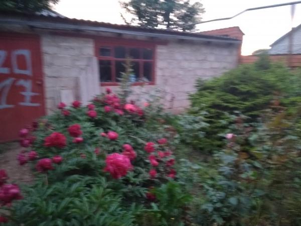 ст. Советская дома Краснодарский край