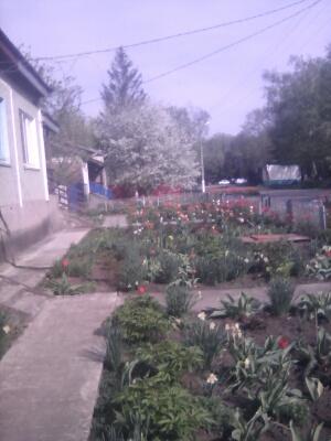 Краснодар дома Краснодарский край