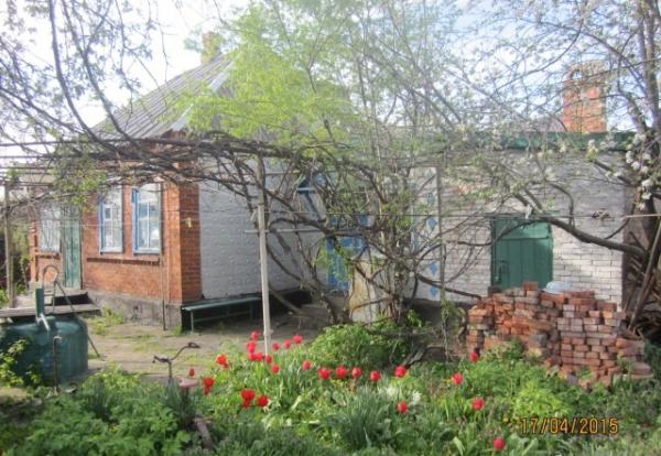 ст. Холмская дома Краснодарский край