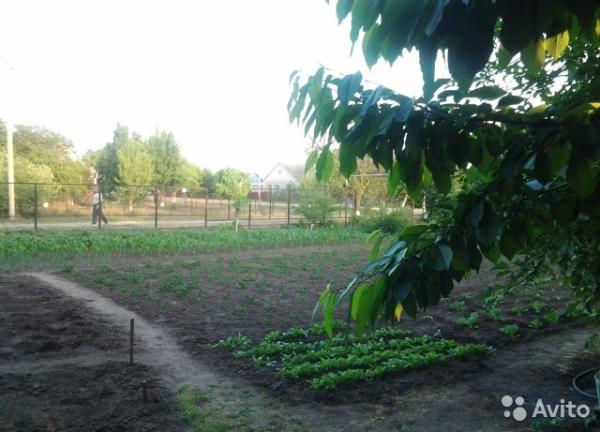 пос. Кубань дома Краснодарский край