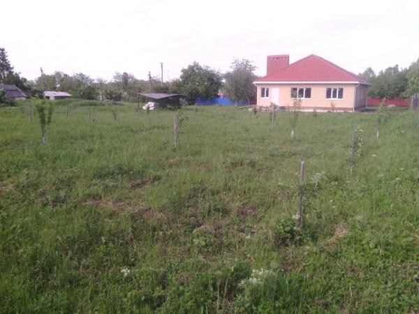 ст. Сергиевская дома Краснодарский край