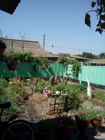 ст. Новониколаевская дома Краснодарский край