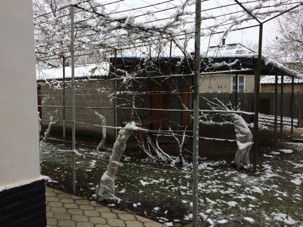 ст. Новоплатнировская дома Краснодарский край