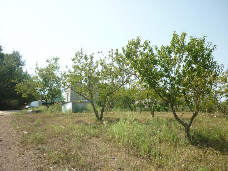 Анапа дома Краснодарский край