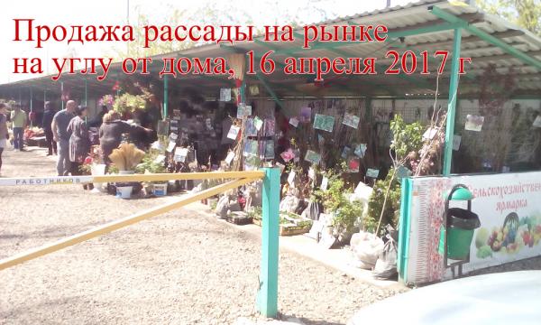 Краснодар дома Краснодарский край