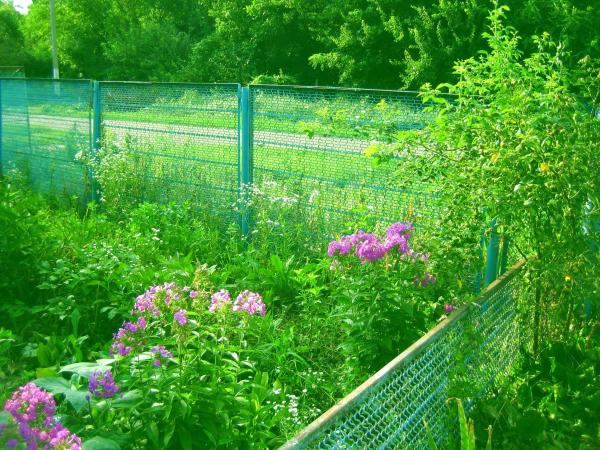 Память Ленина хутор дома Краснодарский край