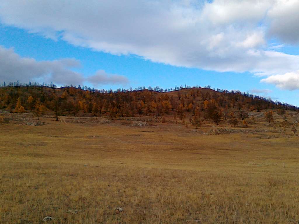 Иркутск земельные участки в станицах Кубани, фото