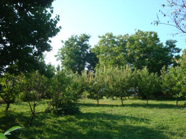ст. Старотитаровская дома Краснодарский край